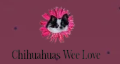 Chihuahuas Wee Love logo